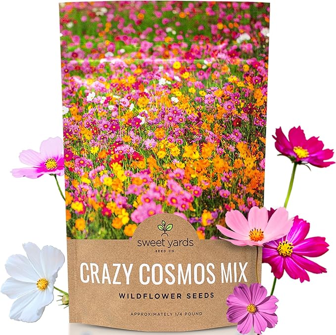 Cosmos Seeds Wildflower Mixture - Bulk Quarter Pound Bag - Over 20,000 Seeds - Pink, Yellow, Orange, Red, Purple and White Mixed Species!