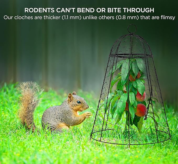 boldworks Garden Cloches for Plants Chicken Wire Cages to Protect from Animals Outdoor Extra Large Rustproof Thicker and Finer Mesh 12" x 20" Pack of 12