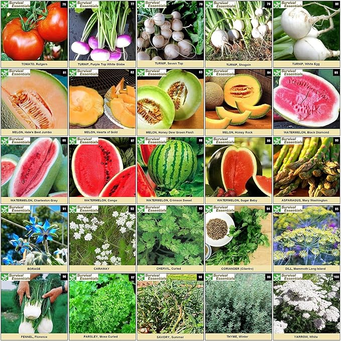 Garden Heirloom Seed Vault, 100 Variety, Over 17,500 Vegetable, Fruit, and Herbs Seeds, Non-GMO, Non-Hybrid, Plus Free Microgreens Kit