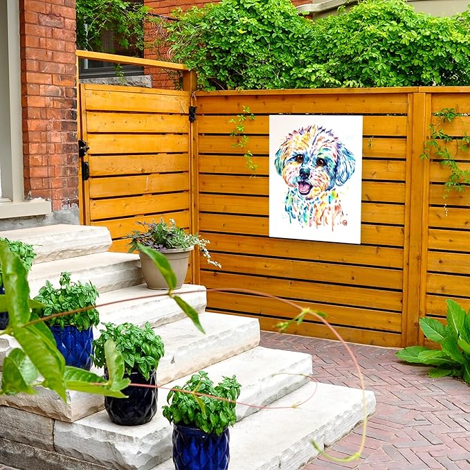 Outdoor Canvas Art - Lisa Whitehouse 'Bichon' Wall Art for Outdoor Spaces, Patios, or Gardens by Trademark Fine Art