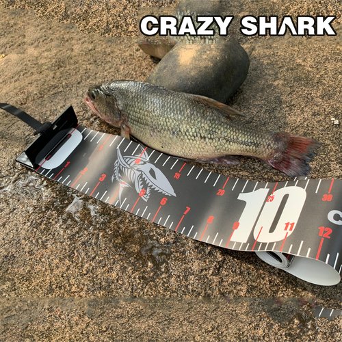 Fish Ruler Tape Measure, Measuring Tape 150cm Waterproof PVC Fishing Ruler Portable Folding Fish Measure Board Tool for Kayak Boat Outdoor Fishing Accessories