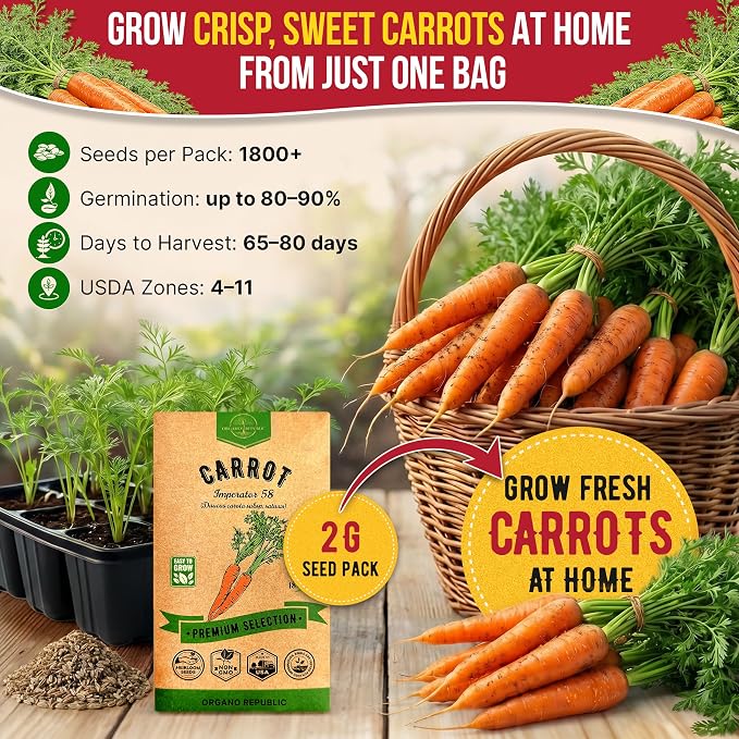 Organo Republic Imperator 58 Carrot Seeds Pack 2G - Over 1800 of Non-GMO Heirloom Carrot Seeds for Planting Vegetables in Individual Seed Packet, Vegetable Seeds for Planting Indoor & Outdoor Garden