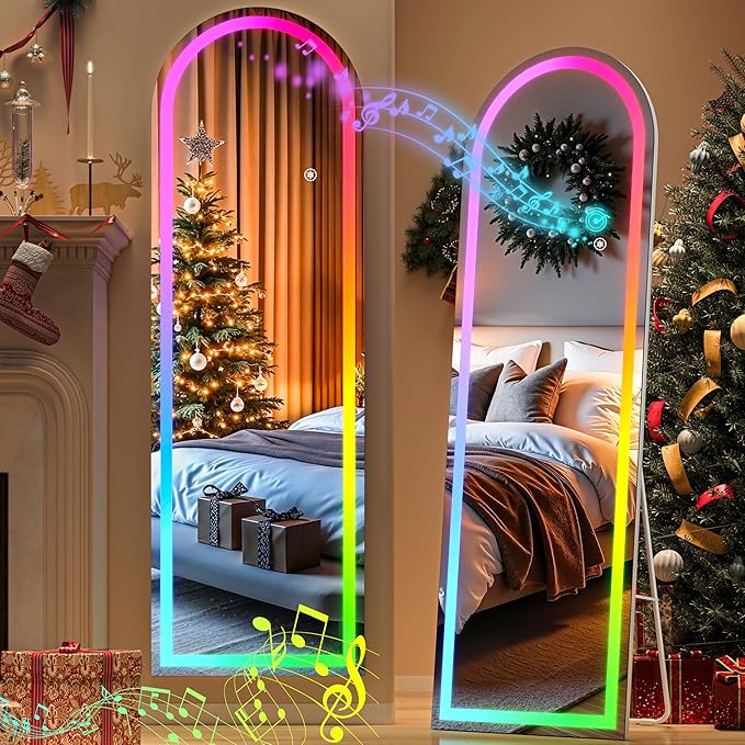 Hasipu Arch Full Length Mirror 56 x 16 in