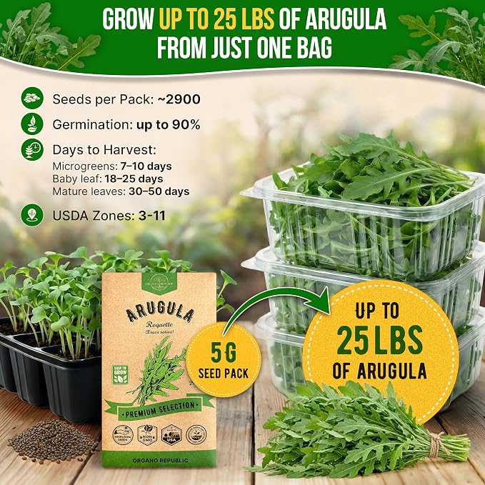 Organo Republic Arugula Roquette Seeds Pack 5G - Over 2900 Non-GMO Heirloom Arugula Seeds for Planting Greens in Individual Seed Packet, Greens Seeds for Planting Home Garden Indoor & Outdoor Garden