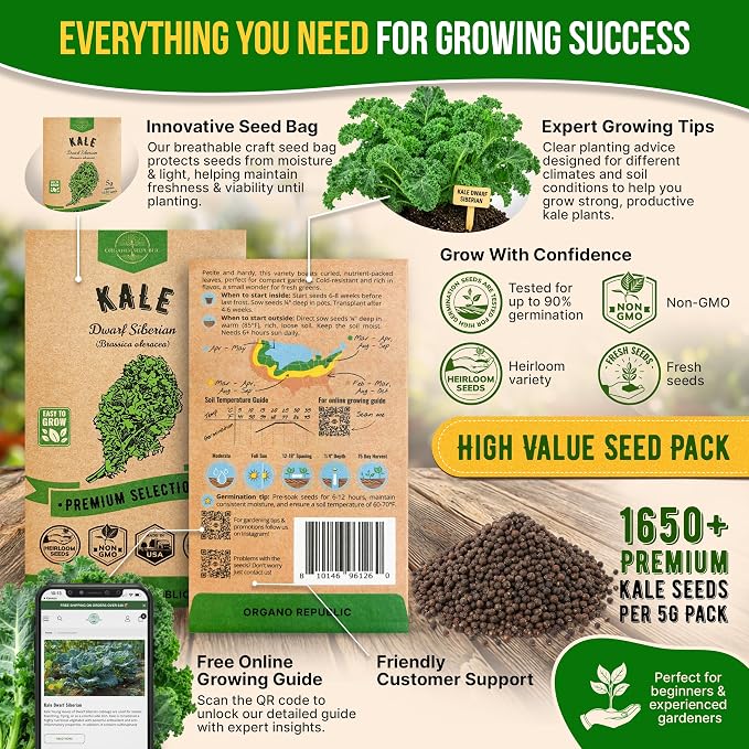 Organo Republic Kale Dwarf Siberian Seeds Pack 5 G - Over 1,650 Non-GMO Heirloom Kale Seeds for Planting Greens in Individual Seed Packet, Greens Seeds for Planting Home Garden Indoor & Outdoor