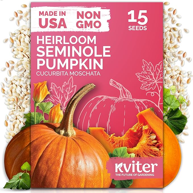 KVITER 15 Seminole Pumpkin Seeds for Planting (Cucurbita Moschata) - Heirloom Pumpkin Seeds for Indoor & Outdoor Planting, Non-GMO Mini Pumpkins Vegetable Seeds for Planting