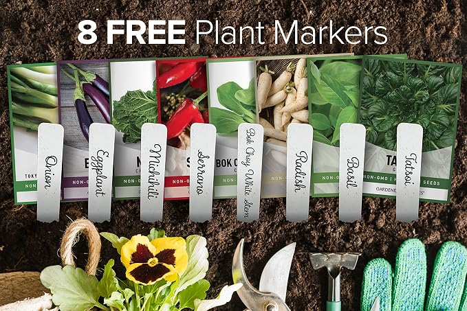 Gardeners Basics, Asian Vegetable Seeds for Planting 8 Packets Bok Choy, Michihili (Napa) Chinese Cabbage, Tatsoi, Onion, White Radish, Serrano, Eggplant for Your Non GMO Heirloom Vegetable Garden
