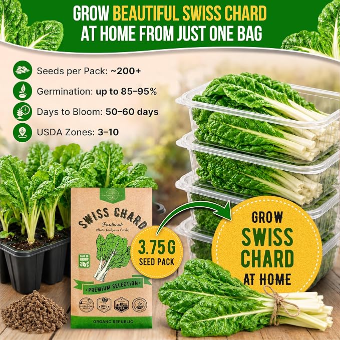 Organo Republic Swiss Chard Fordhook Seeds Pack 3.75 g - Over 200 Non-GMO Heirloom Swiss Chard Seeds for Planting Greens in Individual Seed Packet, Greens Seeds for Planting Indoor & Outdoor Garden