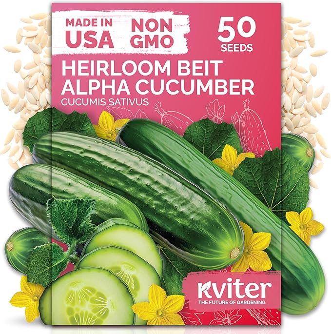 KVITER 50 Beit Alpha Cucumber Seeds for Planting (Cucumis sativus) – Persian Cucumbers, Parthenocarpic Cucumber – Non GMO, Heirloom Vegetable Seeds for Home Garden, Containers & Greenhouses