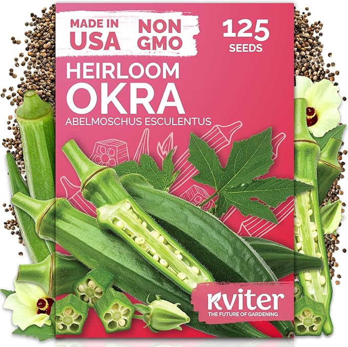 KVITER 125 Clemson Spineless 80 Okra Seeds for Planting (Abelmoschus esculentus) – Heirloom Okra, Spineless Pods, Heavy Yields – Vegetable Seeds to Plant in Outdoor Garden