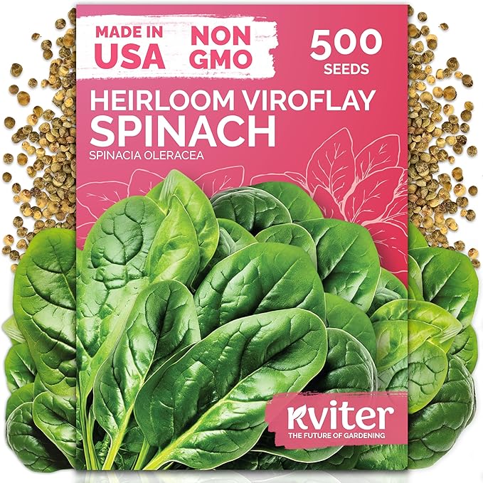 KVITER 500 Viroflay Spinach Seeds (Spinacia Oleracea) - Cold Tolerant Spinach, Fast Growing Heirloom Seed, Non GMO Seed Packets - Vegetable Seeds for Outdoors, Home Garden, Raised Beds