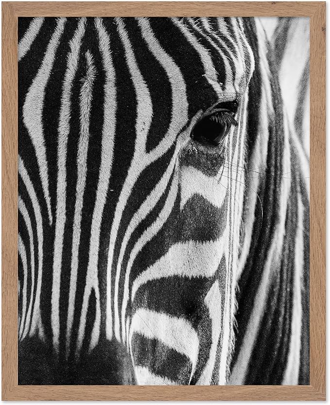 Poster Master Photograph Poster