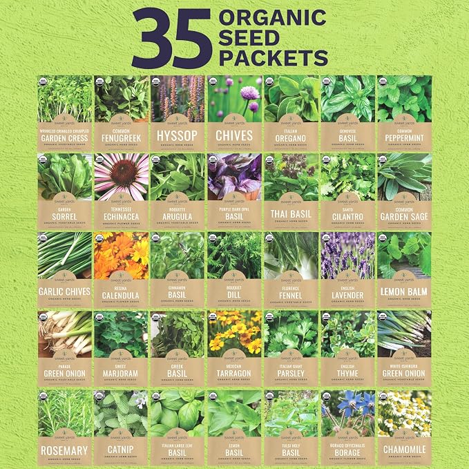 Organic Herb Seeds Variety Pack - 35 Individual Packs - 2026 Season - Basil, Cilantro, Dill, Thyme, Parsley and More! for Indoor & Outdoor Planting (Non-GMO, Certified Organic)