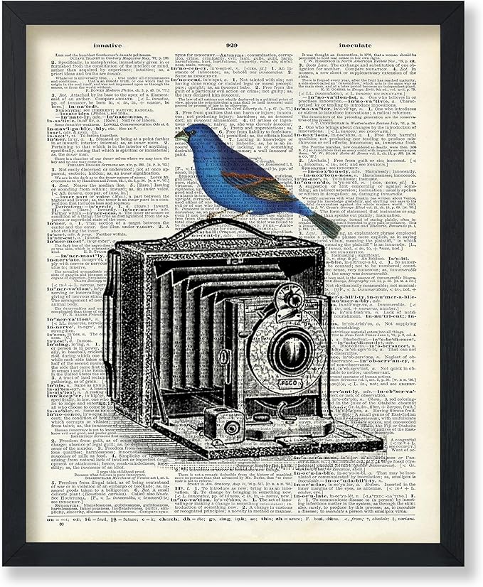 Poster Master Dictionary Art Poster - Antique Camera Print - Bird Art - Photography Art - Gift for Men, Women & Photographer - Chic Decor for Living Room, Bedroom or Office, 24x32 Unframed Wall Art