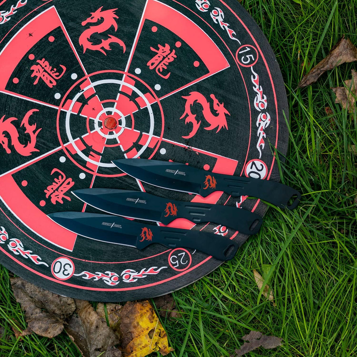 Perfect Point Thrower Set with Target Board - Precision Dart Game for All Ages