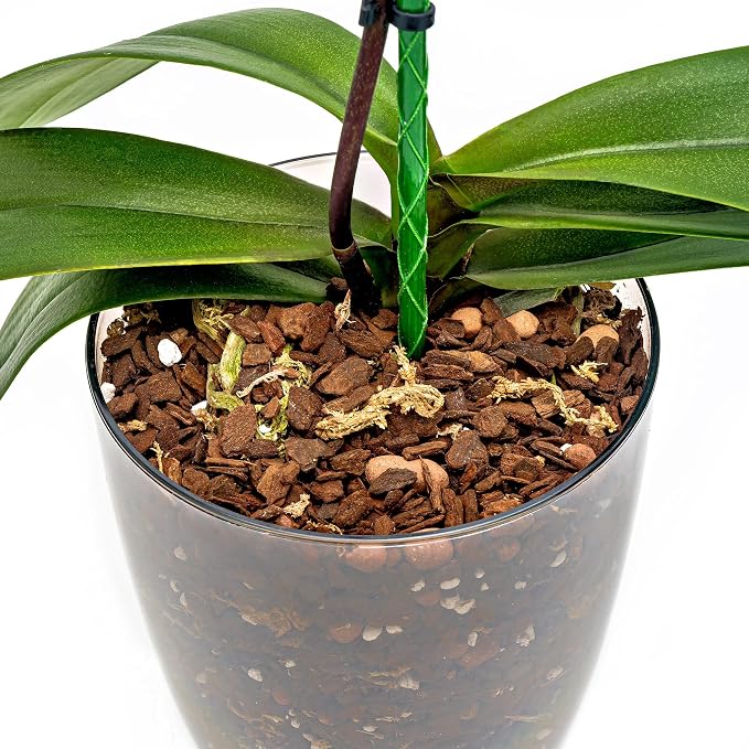 Premium Orchid Soil Mix by Gardenera - Hand Mixed New Zealand Pinus Radiata 100% Natural Potting Soil Bark Mix - for Phalaenopsis Orchid - 2 Quart - Made in USA