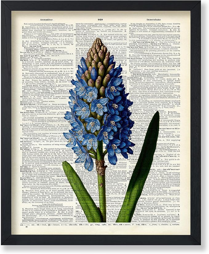 Poster Master Dictionary Art Poster - Blue Hyacinth Print - Flower Art - Floral Art - Gift for Men, Women & Florist - Minimal Decor for Bedroom, Office, Dorm or Flower Shop, 18x24 Unframed Wall Art
