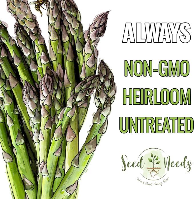 Seed Needs Mary Washington Asparagus Seeds to Plant Heirloom 2 Packs