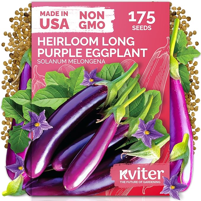 KVITER 175 Long Purple Eggplant Seeds (Solanum melongena) – Asian Eggplant, Dark Purple Italian Egg Plant Seed Packets – Heirloom Vegetable Seeds for Planting Outdoors & Indoor Garden, Containers Beds