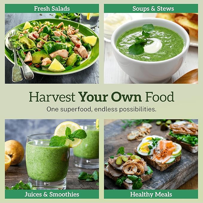 TKE Farms & Gardens - Watercress Seeds for Planting, 1500+ Non-GMO Heirloom Seeds, Grow a Nutrient-Rich Superfood, Easy for Indoor & Outdoor Gardens, Includes Planting Instructions, Qty 1