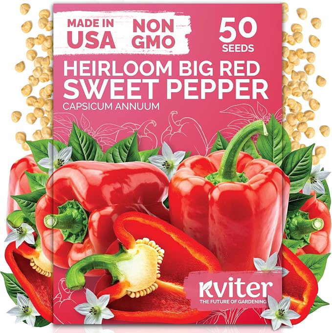 KVITER 50 Big Red Bell Pepper Seeds (Capsicum annuum) – Large Sweet Peppers Seed Packets, Sweet Red Pepper Vegetable Garden – Heirloom Vegetable Seeds Outdoor &, Indoor Garden Containers