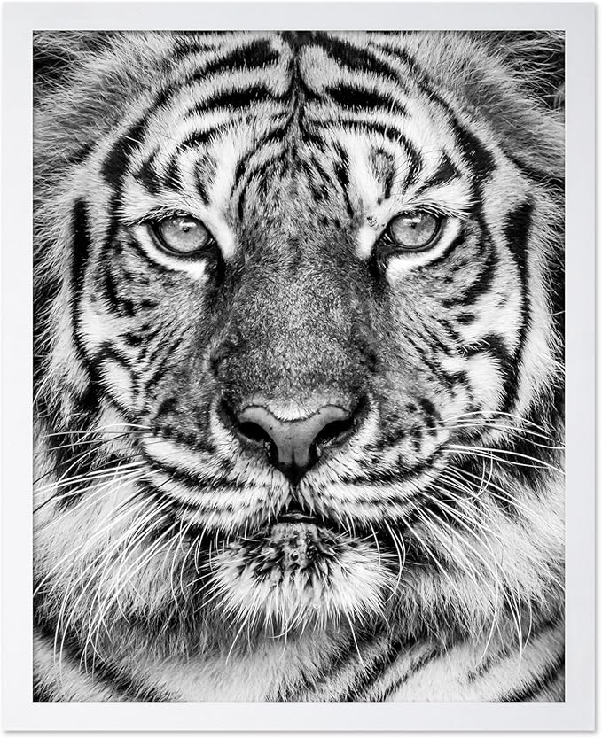 Poster Master Vintage Tiger Face Print