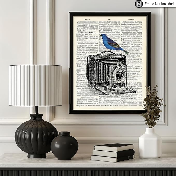 Poster Master Dictionary Art Poster - Antique Camera Print - Bird Art - Photography Art - Gift for Men, Women & Photographer - Chic Decor for Living Room, Bedroom or Office, 24x32 Unframed Wall Art