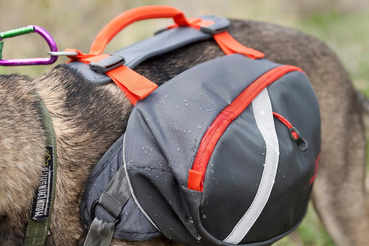 Mountainsmith K-9 Pack