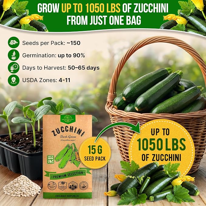 Organo Republic Dark Green Zucchini Seeds Pack 15 G - Over 150 Non-GMO Heirloom Zucchini Seeds for Planting Vegetable in Individual Seed Packet, Vegetable Seeds for Planting Indoor & Outdoor Gardening