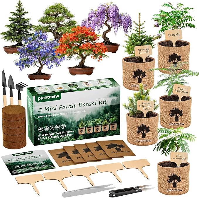 Bonsai Starter Kit for Adults – Complete Indoor Tree Growing Set with Jacaranda Seeds, Tools & Planter | DIY Gardening Hobby Kits for Plant Lovers, Unique Easter Gifts for Men & Women