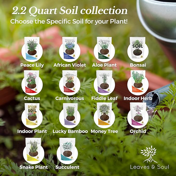 Professional Cactus Soil Mix Large 2.2 Quarts Ready to Use, Premium Fast Draining Potting Soil for Cactus and Succulents, Peat Moss Coco Coir Perlite Dolomite Blend Indoor Plant Soil Made in USA