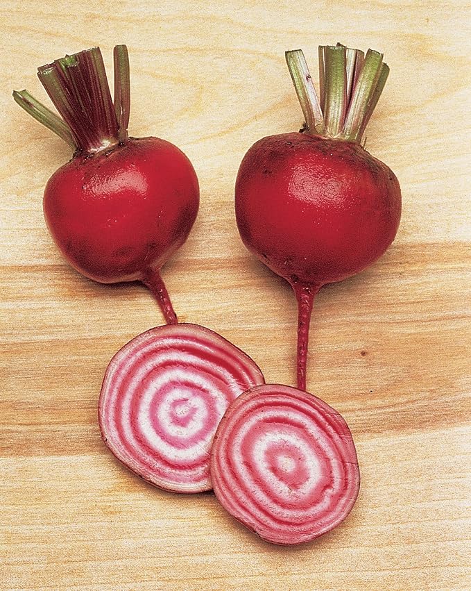 Burpee Chioggia Beet Seeds 200 seeds