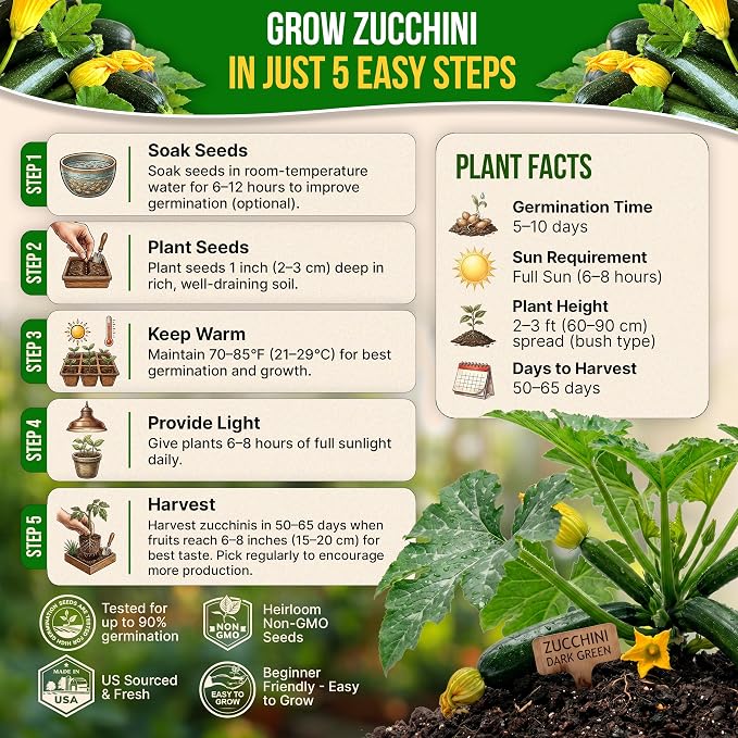 Organo Republic Dark Green Zucchini Seeds Pack 15 G - Over 150 Non-GMO Heirloom Zucchini Seeds for Planting Vegetable in Individual Seed Packet, Vegetable Seeds for Planting Indoor & Outdoor Gardening